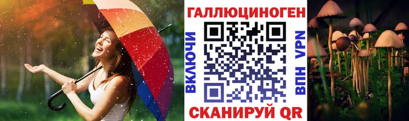 хочу наркоту Яровое Галлюциногенные грибы Psilocybe